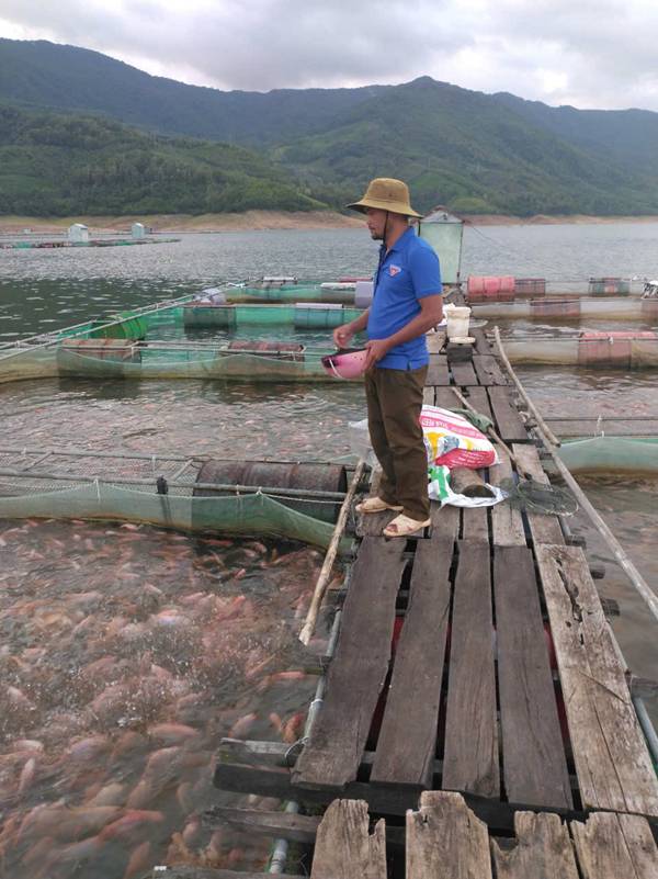 https://tuoitrevinhthanh.vn/uploads/news/2024_10/clb-thanh-nien-lam-kinh-te_3.jpg